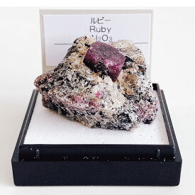 ルビー （インド） 鉱物 標本 東京サイエンス ミニ鉱物標本 ケース入り 紅玉 Ruby 7月 誕生石