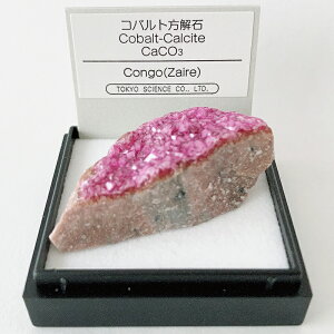 Rog iRSj JTCg Rog p[v sN LL  z W{ TCGX ~jzW{ P[X