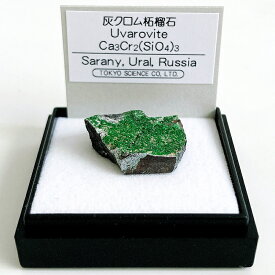 灰クロム柘榴石 （ロシア） 鉱物 標本 東京サイエンス ミニ鉱物標本 ケース入り