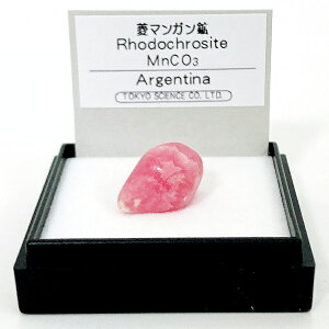 H}KziA[`j  z W{ TCGX ~jzW{ P[X