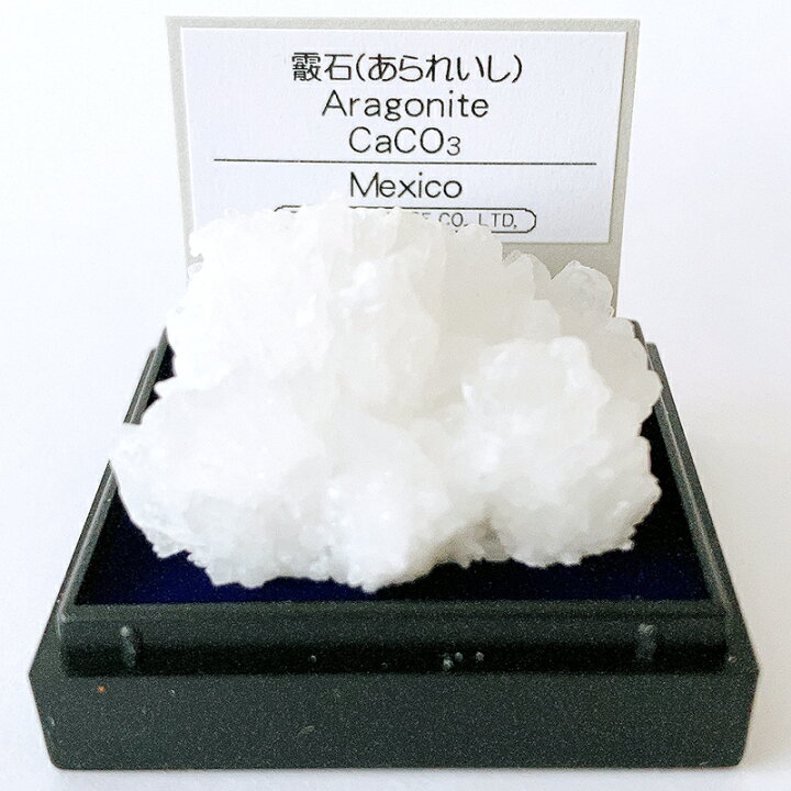 楽天市場】あられ石 霰石 （メキシコ） 鉱物 標本 東京サイエンス ミニ 