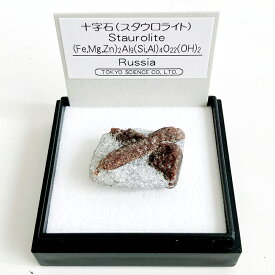 【3日P2倍】十字石 （ロシア） 鉱物 標本 東京サイエンス ミニ鉱物標本 ケース入り