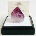 紫水晶 （ブラジル）M 鉱物 標本 東京サイエンス ミニ鉱物標本 ケース入り