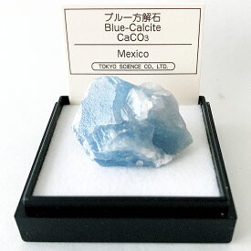 P5倍 【 クーポン 】 ブルー方解石 （メキシコ） カルサイト ブルー 鉱物 標本 東京サイエンス ミニ鉱物標本 ケース入り