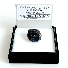 ガーネット 鉄ばんざくろ石 （中国） 鉱物 標本 東京サイエンス ミニ鉱物標本 ケース入り 1月 誕生石