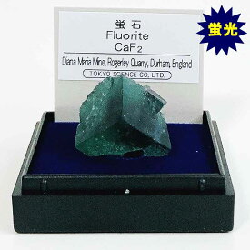 蛍石 （イングランド） 蛍光 鉱物 標本 東京サイエンス ミニ鉱物標本 ケース入り パワーストーン