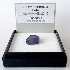 ACICgi^UjAj z W{ TCGX ~jzW{ P[X