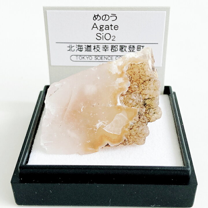 楽天市場】めのう（北海道枝幸郡） 鉱物 標本 東京サイエンス ミニ鉱物 