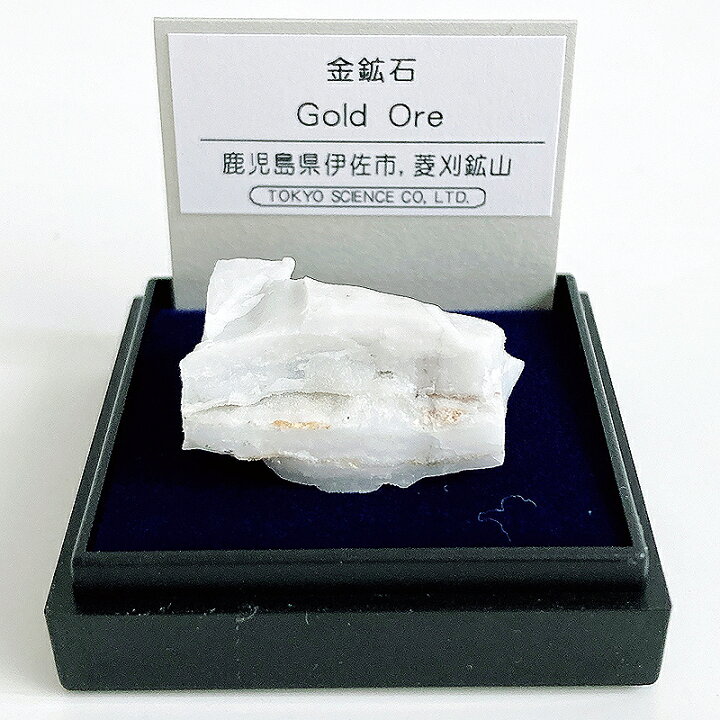 楽天市場】金鉱石 （鹿児島県伊佐市） 鉱物 標本 東京サイエンス ミニ 