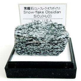 黒曜石 スノーフレーク・オブシディアン（アメリカ、ユタ州） 鉱物 標本 東京サイエンス ミニ鉱物標本 ケース入り