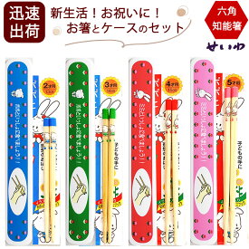 六角知能箸 ポポミミ 箸ケースセット 子供用 箸 正規品 13cm〜16cm おはしのミニブック付き 箸匠せいわ 日本製 食洗機対応