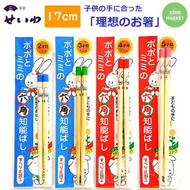 子供用 箸 17cm 小学生 1-2年生用 箸匠せいわ 六角知能箸（ポポとミミ） おはしのミニブック付き 日本製 食洗機対応 子供用国産お箸 お箸トレーニング 天然竹 保育園 幼稚園