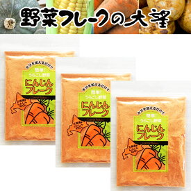 【 クーポン 】 北海道産100% にんじんフレーク40g 3袋セット 無添加・無着色 水分を加えるだけで簡単！うらごし野菜 送料無料
