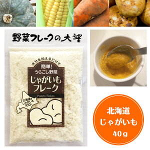 じゃがいも 乾燥の人気商品 通販 価格比較 価格 Com