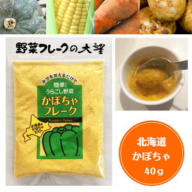 【 クーポン 】 かぼちゃフレーク 離乳食ベビーフード裏ごし野菜フレーク 40g Sサイズ 北海道大望 乾燥ベビーフード