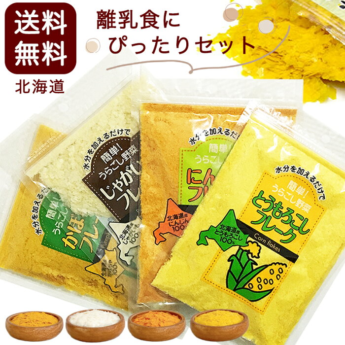 大望 野菜フレーク 40g×4種セット