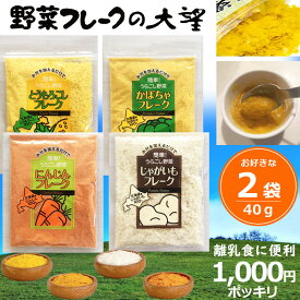 【 クーポン 】 1000円ポッキリ お試し 離乳食 北海道 大望 野菜フレーク 40g 選べる2袋セット