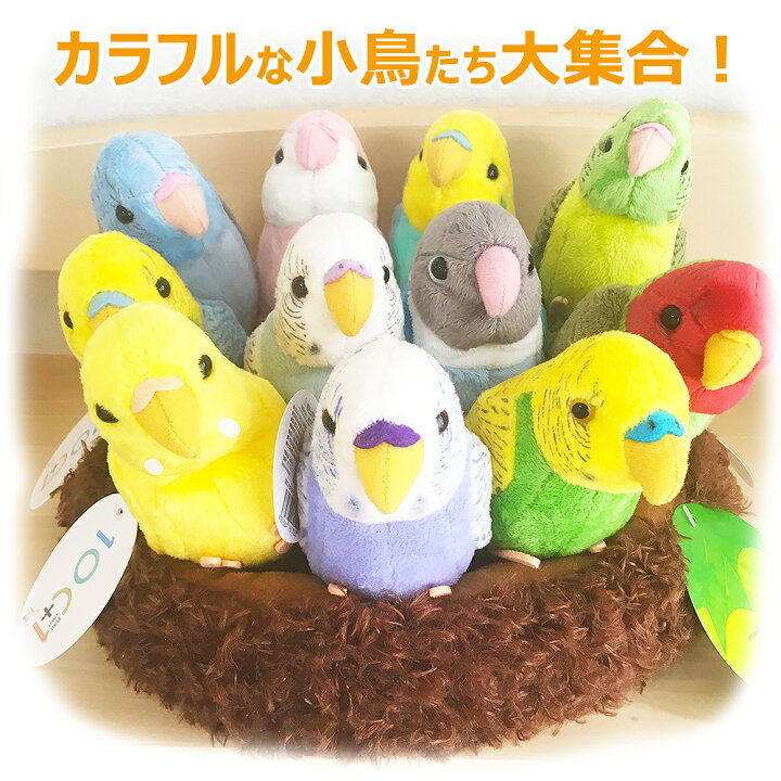 楽天市場 ぬいぐるみ 小鳥 セキセイインコ ボタンインコ アキクサインコ サザナミインコ マメルリハインコ コザクラインコ ボタンインコ キッズマーケット