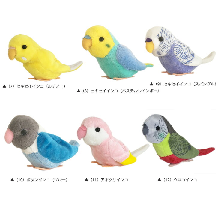 楽天市場 ぬいぐるみ 小鳥 セキセイインコ ボタンインコ アキクサインコ サザナミインコ マメルリハインコ コザクラインコ ボタンインコ キッズマーケット