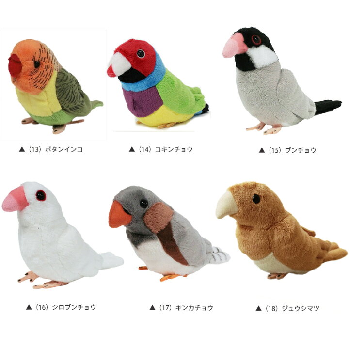 楽天市場 ぬいぐるみ 小鳥 セキセイインコ ボタンインコ アキクサインコ サザナミインコ マメルリハインコ コザクラインコ ボタンインコ キッズマーケット