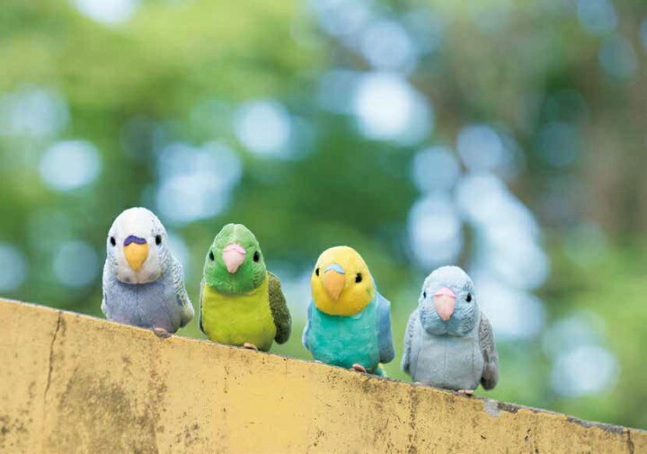 楽天市場 ぬいぐるみ 小鳥 セキセイインコ ボタンインコ アキクサインコ サザナミインコ マメルリハインコ コザクラインコ ボタンインコ キッズマーケット
