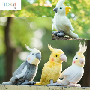 ʂ IJCR IJCR`m[ IE IJCRm[}