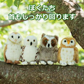 楽天市場 メンフクロウ ぬいぐるみの通販
