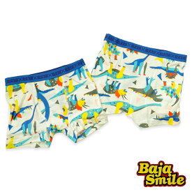 ☆6枚+追跡可能メール便選択で送料無料☆BAJAトランクス 2161608 / Art恐竜柄[BAJA SMILE][バハスマイル][男の子][下着][小物]
