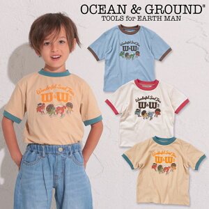 yZ[ 20%OFFz150cm,160cm / W,Li,OG6103_OG6153 W&W's? K[ TVc[OCEAN&GROUND][I[VAhOEh][NEBULA][lu][q][j̎q][̎q][][shts]