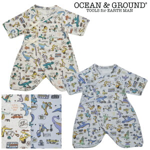 OG0101 Rr Dinosaur City / AC{[,Cgu[[OCEAN&GROUND][I[VAhOEh][NEBULA][lu][babysize]