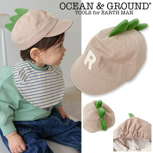 25AWOG3001 xr[ CAP / x[W[OCEAN&GROUND][I[VAhOEh][NEBULA][lu]