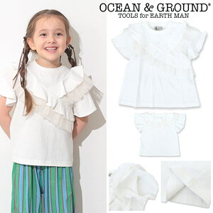 ������Ƀv���C�X�_�E�����y�Z�[�� 30%OFF�z��26SS��OG6104 �{�����[���t���� T�V���c / �z���C�g[OCEAN&GROUND][�I�[�V�����A���h�O���E���h][NEBULA][�l�u��][babysize][shts]