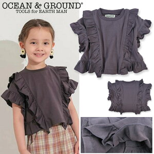 ������Ƀv���C�X�_�E�����y�Z�[�� 30%OFF�z��26SS��OG6104 �t���� T�V���c / �`���R�[��[OCEAN&GROUND][�I�[�V�����A���h�O���E���h][NEBULA][�l�u��] T�V���c �q����