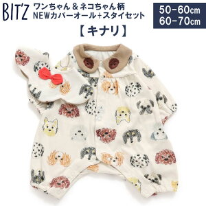 BIT'Z rbc y񁕃lRNEWJo[I[{X^CZbgz Jo[I[ p[X pX oYj xr[Mtgq xr[ ԂyF.OC^[iViz