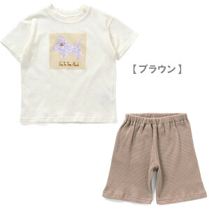 30%OFFAmpersand ApTgy񃏃}CEFAzCXgTVc  Y{pW} ԂpW} LbYpW} q  z[EGA }CE