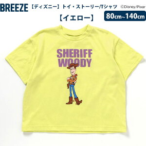 20OFF2025 BREEZE yfBYj[LN^[gCXg[[TVcz TVc q gbvX oYECgC[ EbfBEvCh n bNX GCA 80cm/90cm/100cm/110cm/12