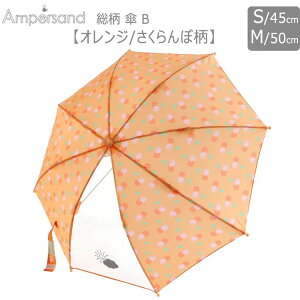 2025V Ampersand ApTh PB  LbYJ qP P jP sN IW u[ ItzCg ܕ  45cm 50cm P ڕ n[g ʉʊw ۈ牀