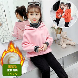 TVc q N TVc ̎q LbY ^[glbN d˒ gbvX uEX qǂ H~ h g 120cm 130cm 140cm 150cm 160cm