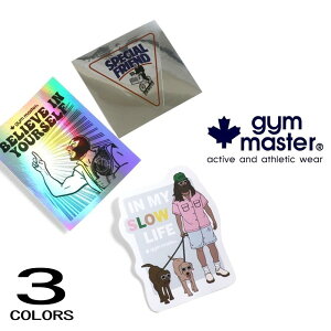 W}X^[ gym master ނqXebJ[ G799649 05 06 08mCnyGHOIz