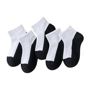 q CyznC@qpEwp\bNX w C qpV[g\bNX5g j̎q ̎q  킢 C WjA ۈ牀 ct ʉʊwC w