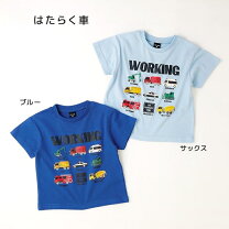 楽天市場】95cm（対象（性別/子供）男の子（キッズ））（Tシャツ 
