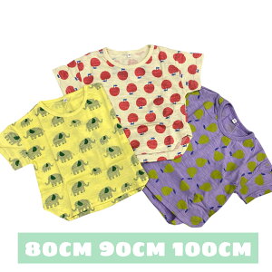 1000~ |bL TVc 80cm 90cm 100cm 100 ]E  m Aj} t[c xr[ gbvX q j̎q ̎q Jbg\[ v`v JWA  LbY  ~