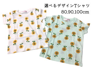 1000~ |bL TVc 80cm 90cm 100cm 100% n[g  Jt  LbY VF S ԕ  Ђ܂  C{[ q xr[ ̎q v`v  CJ L N} |bv