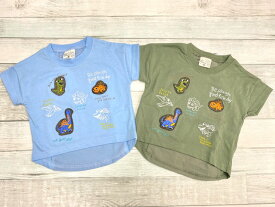 半袖 Tシャツ 恐竜 100cm 110cm 120cm 130cm アップリケ バックシャン ラウンドカット ティラノサウルス トリケラトプス 子供服 男の子 夏 ステゴザウルス プテラノドン モササウルス