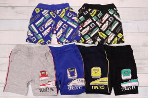 V d 蕨 n[tpc 100cm 110cm 120cm 100% ͂Ԃ ܂ ₫ ̂ hN^[CG[ q j̎q Y{ pc  Jbgpc Y{ ʉ ʊw