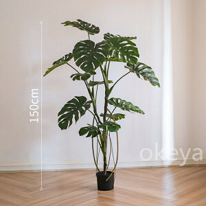 Xe Xec[ O[ ϗtA  ^q` 썑  ϗtA ^ CeA lH tFCN ͗lւ  _ Vv X fBXvC JtF C_Xg