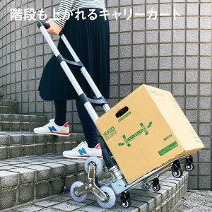 L[J[g ܂肽  L[S VbsOJ[g  RpNg AEghA Lv W[ cart-03