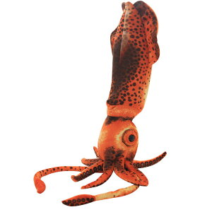 CĴʂ A G ʂ Gӂӂ ʂ  v[g HX 蕨 j̎q ̎q X  60cm