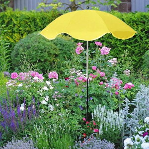 ApP Ap悯P VF[h I[jO n ܂肽ݎ[ TVF[h AیP ԑ 悯} vȓVW 悯 O v^[ pP 킢 ~j`AP 