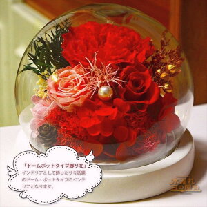 vU[uht[ KXh[ {̉ J[l[V t[  LED ͂Ȃ v[g zCgf[ ̓ hV̓ LO 